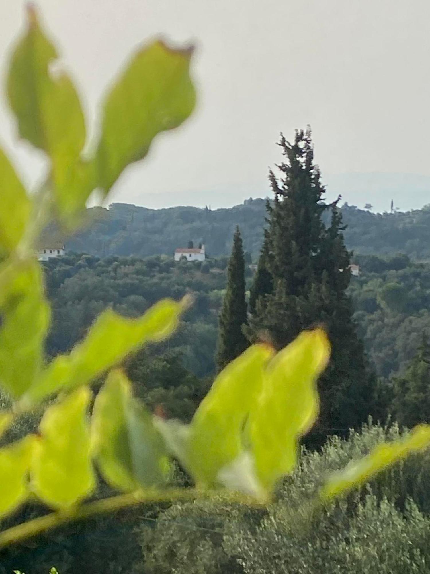 Dinateli Houses - Live Like A Local In Corfu Kastellanoi  Екстер'єр фото